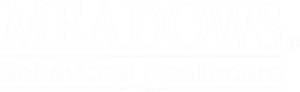 logo-sponsor-2026-meadows-behavioral-healthcare-white